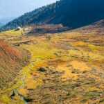 Alm, Berg, Grünbach, Grünbacher Alpe, Hochland, Matte, Natur, Oberhütte, Weide