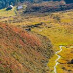 Alm, Grünbach, Grünbacher Alpe, Hochland, Matte, Natur, Oberhütte, Weide