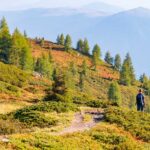 Alm, Baum, Berg, Grünbacher Alpe, Hochland, Holz, Matte, Natur, Oberhütte, Pflanze, Weide, wandern