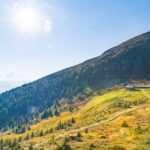 Alm, Berg, Grünbacher Alpe, Matte, Natur, Oberhütte, Weide