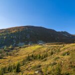 Alm, Grünbacher Alpe, Hochland, Kühe, Matte, Natur, Oberhütte, Weide