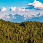 Baum, Cima Dodici, Cima Tre Scarperi, Cima Tre Scarpieri, Croda dei Toni, Dolomiten, Dreischusterspitze, Dürrenstein, Himmel, Holz, Lastron dei Scarperi, Natur, Pflanze, Sextner Sonnenuhr, Sonnenuntergang, Wald, Wolken, Zwölfer, Zwölferkofel