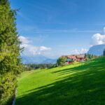 Baum, Feld, Gummer, Hochland, Holz, Landwirtschaft, Natur, Pflanze, Planetenweg