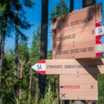 Baum, Gummer, Holz, Natur, Pflanze, Planetenweg, Schild, Sternwarte, Wald, Wegweiser