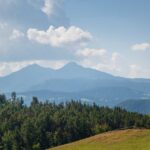 Baum, Berg, Corno Bianco, Corno nero, Gummer, Himmel, Hochland, Holz, Natur, Pflanze, Planetenweg, Schwarzhorn, Wald, Weisshorn, Weißhorn, Wiese, Wolken