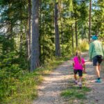 Baum, Gummer, Holz, Natur, Pflanze, Planetenweg, Wald