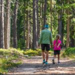 Baum, Gummer, Holz, Natur, Pflanze, Planetenweg, Wald, Waldweg