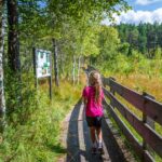 Baum, Biotop Schustermoos, Gummer, Hochmoor, Holz, Moor, Natur, Pflanze, Planetenweg, Wald