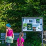 Baum, Biotop Schustermoos, Gummer, Holz, Natur, Pflanze, Planetenweg, Wald