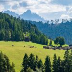 Baum, Berg, Gummer, Hochland, Holz, Latemar, Natur, Obergummer, Pflanze, Planetenweg, Wald