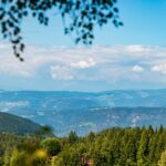 Baum, Gummer, Himmel, Holz, Natur, Pflanze, Planetenweg, Ritten, Wald, Wolken