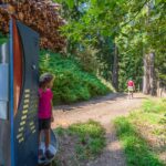 Baum, Gummer, Holz, Natur, Neptun, Pflanze, Planetenweg, Wald, wandern