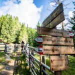 Architektur, Baum, Holz, Kaserfeld Alm, Natur, Pflanze, Schild, Tor, Ulten, Ultental, Ultimo, Val d’Ultimo, Wegweiser