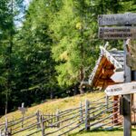 Alm, Baum, Hasenohr, Hasenöhrl, Holz, Kaserfeld Alm, Matte, Natur, Pflanze, Schild, Schusterhüttl, Ulten, Ultental, Ultimo, Val d’Ultimo, Wald, Weide