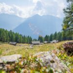 Alm, Hochland, Kaserfeld Alm, Matte, Natur, Ulten, Ultental, Ultimo, Val d’Ultimo, Weide