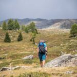 Berg, Heide, Hochland, Krokodil, Natur, Raubtier, Reptil, Tier, Ulten, Ultental, Ultimo, Val d’Ultimo, wandern