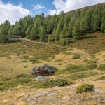 Baum, Berg, Heide, Hochland, Holz, Natur, Pflanze, Ulten, Ultental, Ultimo, Val d’Ultimo, Wald, wandern