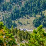 Baum, Holz, Natur, Pflanze, Ulten, Ultental, Ultimo, Val d’Ultimo, Vordere Flatschbergalm, Wald