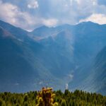 Baum, Himmel, Holz, Natur, Pflanze, Tufertal, Ulten, Ultental, Ultimo, Val d’Ultimo, Wald, Wolken