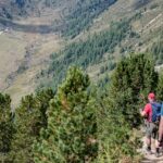 Baum, Flatschbergtal, Hintere Flatscher Berg Alm, Holz, Natur, Pflanze, Ulten, Ultental, Ultimo, Val d’Ultimo, Wald, wandern