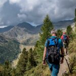 Baum, Berg, Flatschbergtal, Hintere Flatscher Berg Alm, Hochland, Holz, Natur, Pflanze, Ulten, Ultental, Ultimo, Val d’Ultimo, Wald, wandern