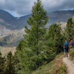 Baum, Berg, Flatschbergtal, Hintere Flatscher Berg Alm, Hochland, Holz, Natur, Pflanze, Ulten, Ultental, Ultimo, Val d’Ultimo, wandern