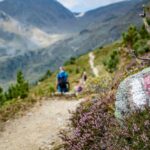 Berg, Hochland, Natur, Pflanze, Ulten, Ultental, Ultimo, Val d’Ultimo, wandern