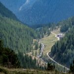 Baum, Flatschbergtal, Hochland, Holz, Natur, Pflanze, Ulten, Ultental, Ultimo, Val d’Ultimo, Vordere Flatschbergalm, Wald