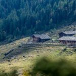 Hintere Flatscher Berg Alm, Hochland, Natur, Ulten, Ultental, Ultimo, Val d’Ultimo