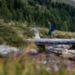 Baum, Brücke, Flatschbergbach, Fluss, Gewässer, Holz, Natur, Pflanze, Ulten, Ultental, Ultimo, Val d’Ultimo, Wald, Wasser