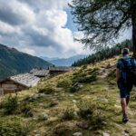 Baum, Berg, Hintere Flatscher Berg Alm, Hochland, Holz, Natur, Pflanze, Ulten, Ultental, Ultimo, Val d’Ultimo, wandern