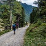 Baum, Flatschbergtal, Hochland, Holz, Natur, Pflanze, Ulten, Ultental, Ultimo, Val d’Ultimo, Wald