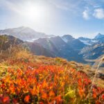 Cevedale, Il Gran Zebu, Königsspitze, Martelltal, Monte Cevedale, Ortler-Alpen, Zufallspitze