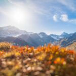 Cevedale, Il Gran Zebu, Königsspitze, Martelltal, Monte Cevedale, Ortler-Alpen, Zufallspitze