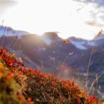 Il Gran Zebu, Königsspitze, Martelltal, Ortler-Alpen, Sonnenuntergang