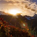 Il Gran Zebu, Königsspitze, Martelltal, Ortler-Alpen, Sonne, Sonnenuntergang