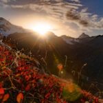 Il Gran Zebu, Königsspitze, Martelltal, Ortler-Alpen, Sonne, Sonnenuntergang