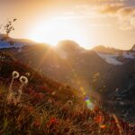 Il Gran Zebu, Königsspitze, Martelltal, Ortler-Alpen, Sonne, Sonnenuntergang