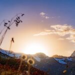 Il Gran Zebu, Königsspitze, Martelltal, Ortler-Alpen, Sonne, Sonnenuntergang