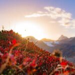 Il Gran Zebu, Königsspitze, Martelltal, Ortler-Alpen, Sonne, Sonnenuntergang