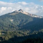 Baum, Berg, Corno Bianco, Hochland, Holz, Natur, Pflanze, Wald, Weisshorn, Weißhorn