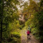 Brantental, Halbweg, Lost Place, Wallfahrt, Wallfahrt Maria Weißenstein