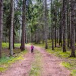 Wald, wandern