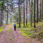 Wald, wandern