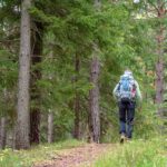 Deutschnofen, Schadner Rundweg, wandern