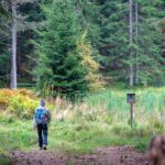 Biotop, Deutschnofen, Schadner Rundweg, wandern