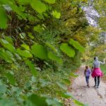 Natur, Weg, alte Weinstraße, cammino, way