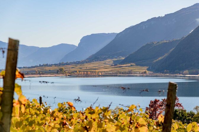 Herbst am Kalterer See