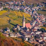 Herbst, Termeno, Tramin, autumn, autunno