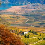 Herbst, Kalterer See, Kalterersee, Kastelaz, Strada del Vino, Südtiroler Weinstraße, Weinstrasse, Weinstraße, autumn, autunno, wine route